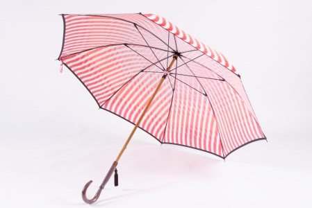 高級雨傘【赤富士と水】