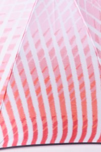 高級雨傘【赤富士と水】