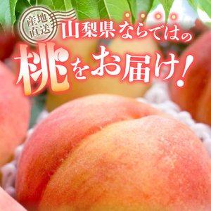 【2025年先行予約】【2回定期便】山梨朝どれ桃2kg×2回配送（白鳳系・白桃系）定期便 2回 白鳳系 白桃系 もも 山梨 富士吉田 果物 フルーツ 旬 山梨桃 桃 白桃 富士吉田 白鳳 朝どれ