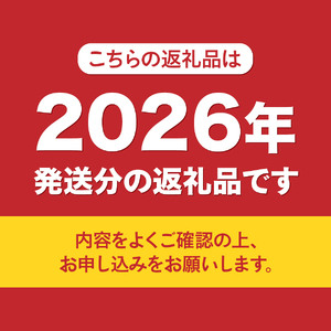 【数量限定】4回お届けフルーツ定期便  シャインマスカット もも さくらんぼ 黒ぶどう