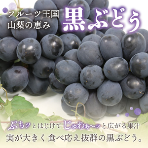 【数量限定】4回お届けフルーツ定期便  シャインマスカット もも さくらんぼ 黒ぶどう