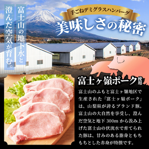 【ふるなび限定!期間限定価格】【1月発送】【数量限定】贅沢 手ごねハンバーグ 富士ヶ嶺ポーク100％ 140g×10個セット（デミグラスソース付き）FN-Limited 手ごね ハンバーグ 国産 豚肉ハンバーグ 富士ヶ嶺ポーク 山梨 富士吉田 ブランド豚 惣菜 手ごね ハンバーグ 小分け ギフト