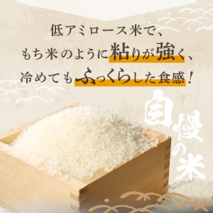 【令和5年産】富士吉田の美味しいお米 ミルキークイーン 2.3kg×2袋