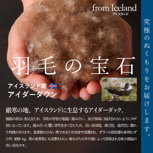 【甲州羽毛ふとん】増量本掛けシルクジャガード手選別アイダーダウン（シングル） 羽毛布団 回収キット付き ふとん 布団