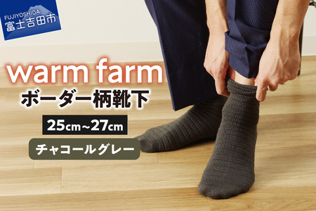 光吸収発熱ウール「ウォームファーム ボーダー柄靴下」（チャコールグレー） 靴下 ウール 天然繊維 バナウォーム 暖かい