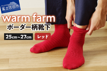 光吸収発熱ウール「ウォームファーム ボーダー柄靴下」（レッド） 靴下 ウール 天然繊維 バナウォーム 暖かい