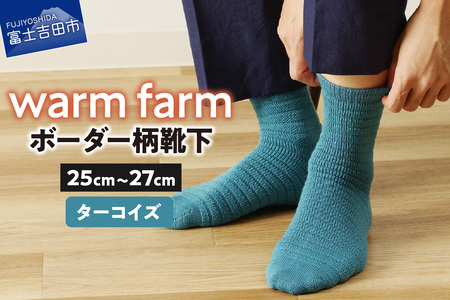 光吸収発熱ウール「ウォームファーム ボーダー柄靴下」（ターコイズ） 靴下 ウール 天然繊維 バナウォーム 暖かい