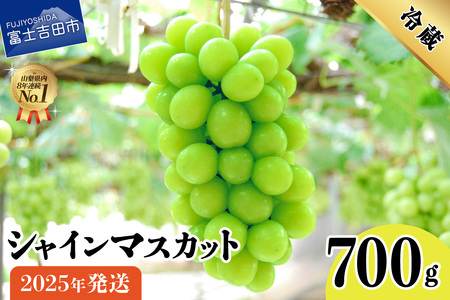 【2025年発送】山梨県産 シャインマスカット 700g（1房以上）シャインマスカット フルーツ