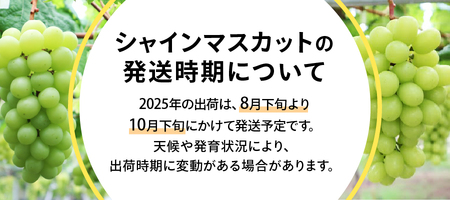 【2025年発送】山梨県産 シャインマスカット 700g（1房以上）シャインマスカット フルーツ