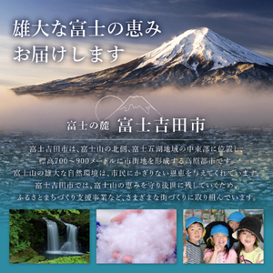 富士吉田市オリジナルマスキングテープ 15mm幅 ふじさんパターン ブルー マステ オリジナル 富士山 15mm幅 テープ 和紙