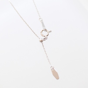 プラチナ ダイヤモンド バタフライ ネックレス SZ-3150 アクセサリー ジュエリー