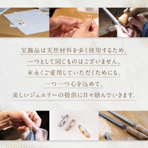 プラチナ ダイヤモンド バタフライ ネックレス SZ-3150 アクセサリー ジュエリー