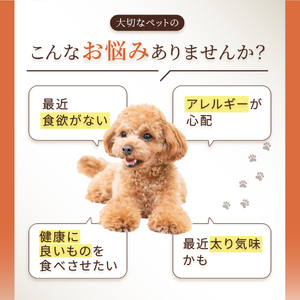 ペットフード ドッグフード おやつ 鹿ジャーキー 無添加 鹿肉100% 45g×10袋