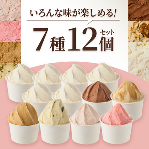 富士山まるごとジェラート　バラエティセット ジェラート 氷菓子 スイーツ 夏いちご 詰め合わせ