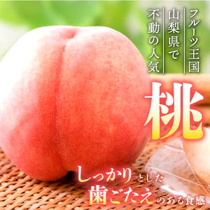 厳選旬のフルーツ2回定期便（桃2kg・シャインマスカット1kg以上）【2026年発送先行予約】