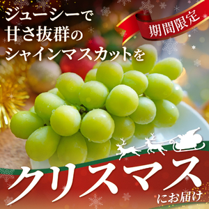 【ふるなびWEEK対象】【 クリスマス に届く】厳選 シャインマスカット 600g フルーツ シャインマスカット FN-Limited-PR