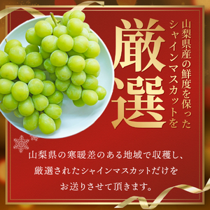 【ふるなびWEEK対象】【 クリスマス に届く】厳選 シャインマスカット 600g フルーツ シャインマスカット FN-Limited-PR