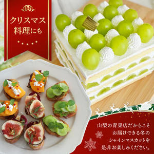 【ふるなびWEEK対象】【 クリスマス に届く】厳選 シャインマスカット 600g フルーツ シャインマスカット FN-Limited-PR