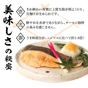 【鮮魚直送】キングサーモン×ニジマス「富士の介」焼き魚用 切身