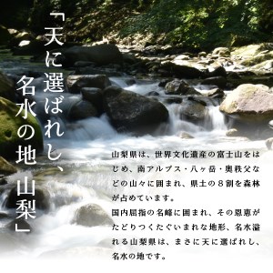 山梨県ブランド魚 キングサーモンの血を受け継ぐ 富士の介 フィーレ半身 約650 700g 山梨県富士吉田市 ふるさと納税サイト ふるなび