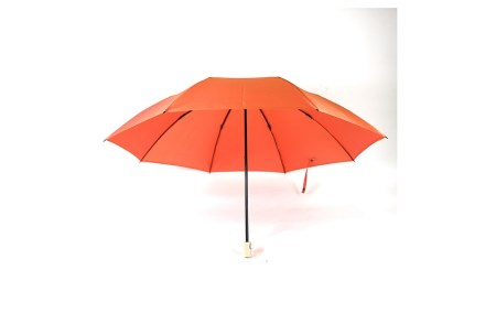 【晴雨兼用折畳み傘】sea-sas シーサス(リビング・コーラル) 