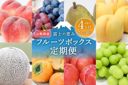 【4ヶ月お届け!】山梨産フルーツ詰め合わせ定期便(7~10月)