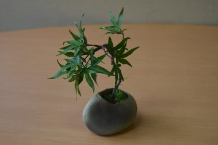 和モダン 苔盆栽セット ファーン もみじ ラベンダー 山梨県富士吉田市 ふるさと納税サイト ふるなび