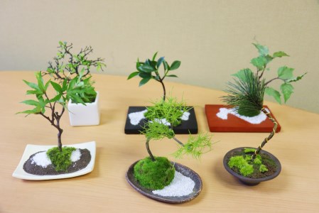 奇数月にお届け 和モダン ミニ盆栽の6回定期便 山梨県富士吉田市 ふるさと納税サイト ふるなび