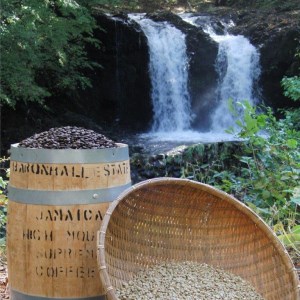 フェアトレードコーヒー　ミャンマー＆東ティモール(粉)　海外支援　 コーヒー 珈琲 粉 スペシャルティ 挽き立て 珈琲 