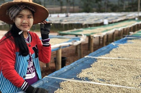 フェアトレードコーヒー　ミャンマー＆東ティモール(粉)　海外支援　 コーヒー 珈琲 粉 スペシャルティ 挽き立て 珈琲 