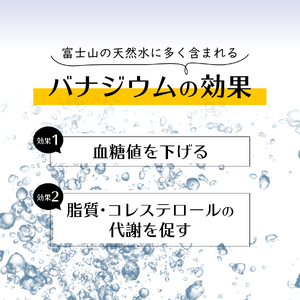 【富士山工場限定】バナジウム強炭酸水 PET500ml×2箱(48本入) 友桝飲料