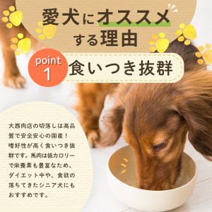 ペット用 わんちゃんごはん ペットフード 国産 馬肉使用 山梨県富士吉田市 ふるさと納税サイト ふるなび ペット用 わんちゃんごはん ペットフード 国産 馬肉使用 山梨県富士吉田市 ふるさと納税サイト ふるなび