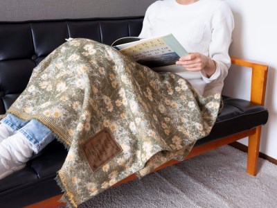 Visual Dictionary Blanket /Sunny Forest