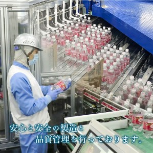 強炭酸水 【12ヶ月お届け！】ウィルキンソンタンサン PET1L×2箱 (24本入) 定期便 炭酸