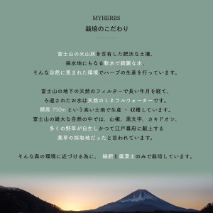 メール便発送 ハーブティーセット(ミント&レモン) ティーバッグ20個   ハーブ 柑橘系ハーブ ミント レモン ノンカフェイン SDGs