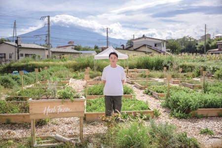 メール便発送 ハーブティーセット(ミント&レモン) ティーバッグ20個   ハーブ 柑橘系ハーブ ミント レモン ノンカフェイン SDGs