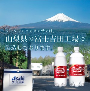 【年6回・隔月お届け！】炭酸水 ウィルキンソン　タンサン　 PET1L×1箱(12本入) 定期便 炭酸水 炭酸 炭酸飲料 水 強炭酸水 おすすめ炭酸水 山梨 富士吉田