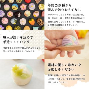 四季の彩 上生菓子(12個セット) 4回 定期便 【富士夢和菓子