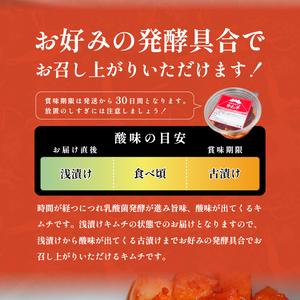 本場韓国人が作る！田家たむらの白菜キムチとカクテキのセット  大根 韓国 ヤンニョム 漬け物 唐辛子 浅漬け 発酵食品 おかず