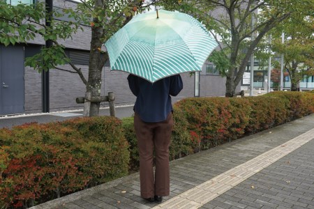 雨長傘　富士山（緑）