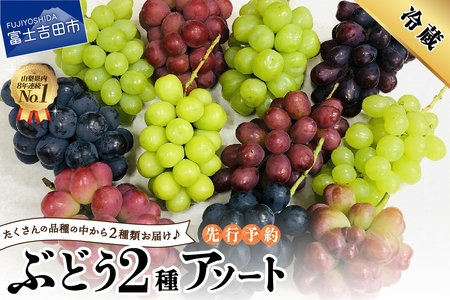 ぶどう　2種アソート フルーツ シャイン 山梨県産 シャインマスカット 2房 果物 シャインマスカット フルーツ くだもの 果実 フルーツ王国 旬 フルーツ フルーツ 旬 山梨県 シャインマスカット フルーツ マスカット 果実 フルーツ 高級 くだもの 2024年 先行予約 シャインマスカット ぶどう シャインマスカット 大粒 贈答 ギフト シャインマスカットぶどう　2種アソート　フルーツ シャイン 山梨県産 シャインマスカット 果物 フルーツ くだもの 果実 フルーツ王国 旬 フルーツ フルーツ 旬 山梨県 シャインマスカット フルーツ マスカット 果実 フルーツ 高級 くだもの 2024年 先行予約 シャインマスカット ぶどう 予約 山梨 富士吉田 シャインマスカット 大粒 贈答 ギフト シャインマスカット 巨峰 ピオーネ シードレス オリエンタルスター マイハート クイーンニーナ ウインク スカーレット サニールージュ バイオレットキング 甲斐路