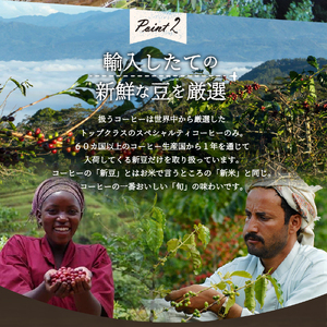 【訳あり】【定期便】コーヒー 世界の高級豆 希少豆　12ヶ月コース(豆)  珈琲 スペシャルティコーヒー 自家焙煎 珈琲