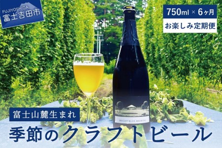 【6回お届け!お楽しみ定期便】ワイングラスで飲む季節のクラフトビール 750ml シャンパンボトル BRIGHT BLUE BREWING