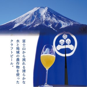 【6回お届け!お楽しみ定期便】ワイングラスで飲む季節のクラフトビール 750ml シャンパンボトル BRIGHT BLUE BREWING