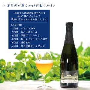 【6回お届け!お楽しみ定期便】ワイングラスで飲む季節のクラフトビール 750ml シャンパンボトル BRIGHT BLUE BREWING