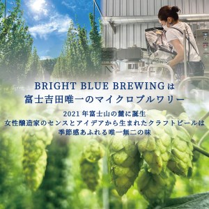 【6回お届け!お楽しみ定期便】ワイングラスで飲む季節のクラフトビール 750ml シャンパンボトル BRIGHT BLUE BREWING