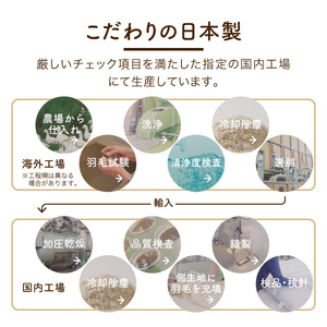  【老舗寝具メーカー監修】こだわりの二層式羽毛掛けふとん エンジ (シングル) グリーン系掛けふとんカバー付き 布団   寝具 セット ロマンス小杉 上質 羽毛布団