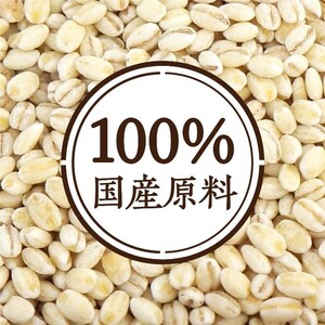 国産かけるだけもち麦 50g×10袋