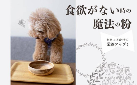 【歯のない子でも食べられる】シニア向け犬用おやつセット