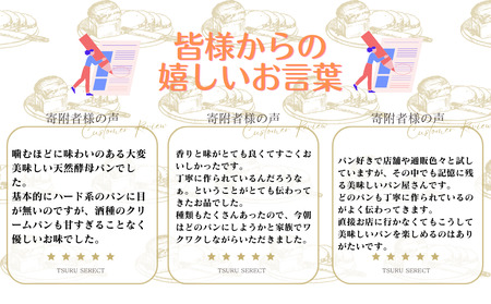 リピーター多数！自家製酵母のパンセットⅡ（10種類11個、食パン5枚切り）